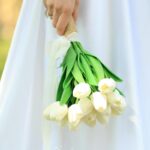 Co w weekend w Szczecinie? Przewodnik po atrakcjach i rozrywkach